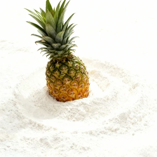 Pineapple Flavor Powder