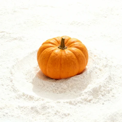 Pumpkin Flavor Powder