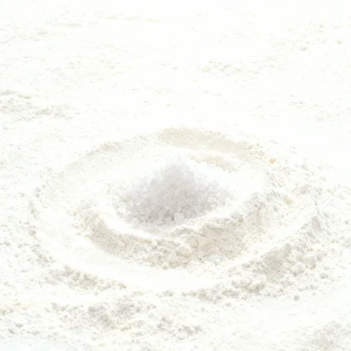 Sea Salt Flavor Powder